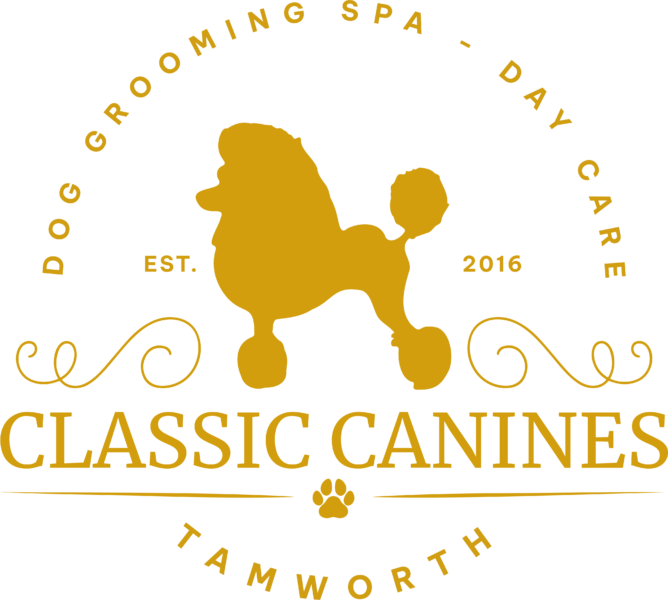 Premier Dog Grooming & Day Care in Tamworth | Classic Canines