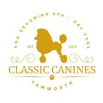 🐾 Classic Canines 🐾